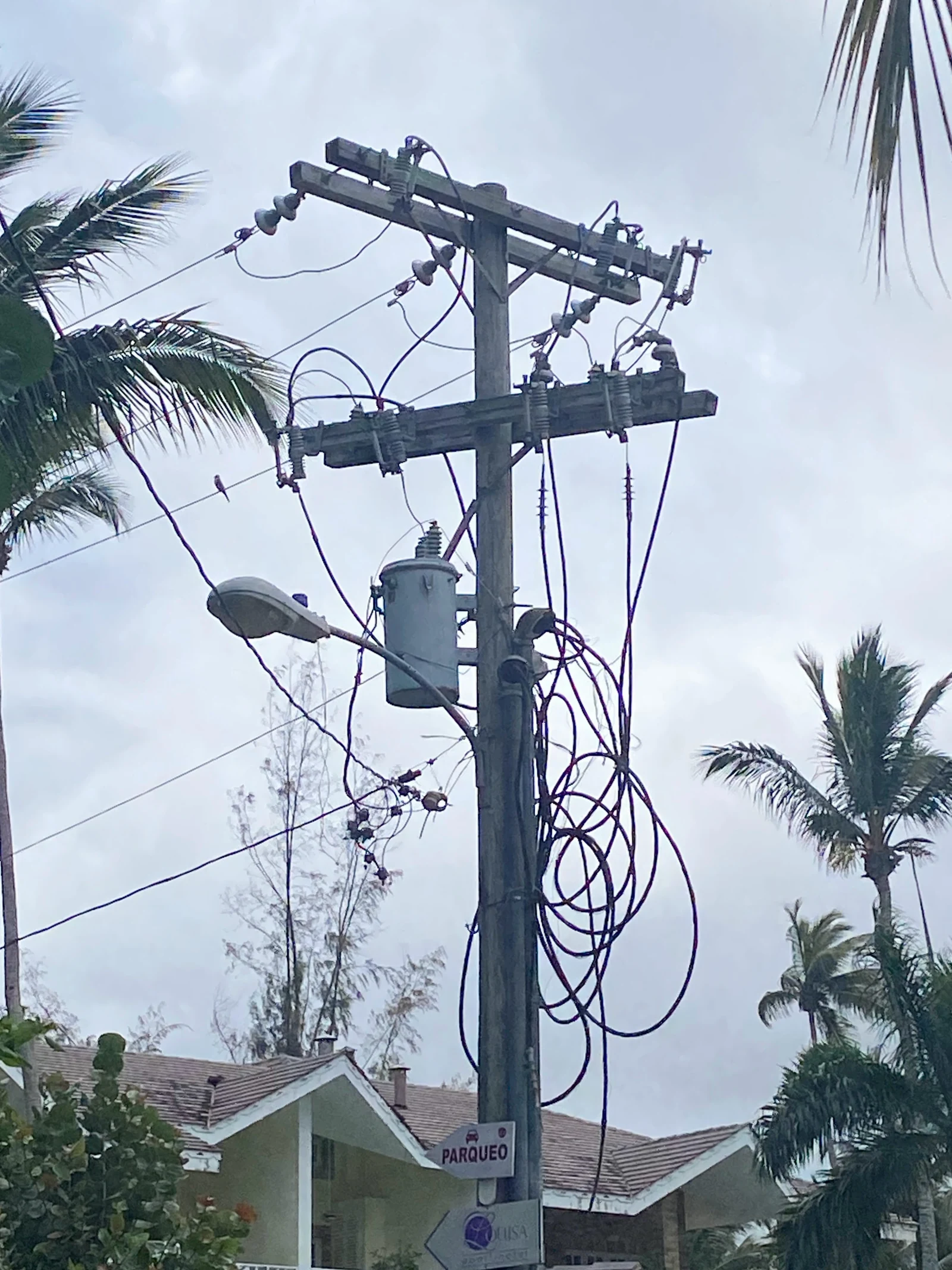 Imagen de archivo: tendido eléctrico en Las Terrenas, Samaná, 2024; no muestra la interfaz de Protecom.